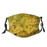 yanfind Leaves Deciduous Woody Leaf Maple Plant Tree Plant Autumn Flower Dust Washable Reusable Filter and Reusable Mouth Warm Windproof Cotton Face