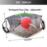 yanfind Rose Macro Plant Stem Rosa Plants Fruit Canina Hip Flower Dust Washable Reusable Filter and Reusable Mouth Warm Windproof Cotton Face