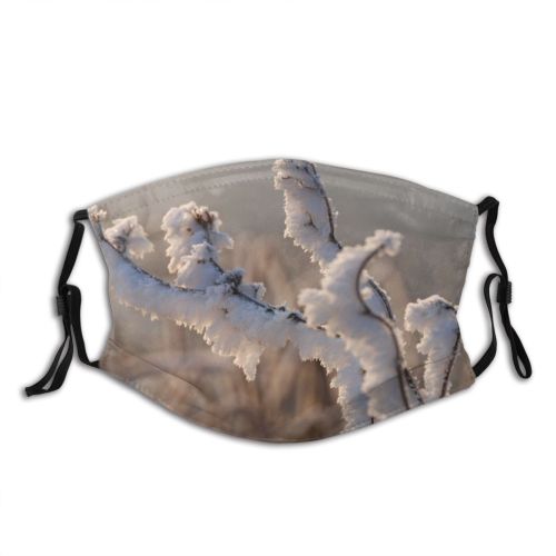 yanfind Winter Sunlight Sky Trees Twig Plant Ice Branch Frost Winter Snow Freezing Dust Washable Reusable Filter and Reusable Mouth Warm Windproof Cotton Face