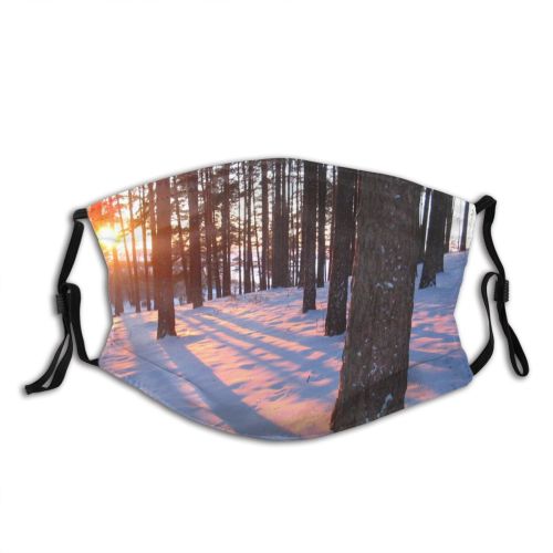 yanfind Winter Sunlight Sunset Sky Tree Forest Winter Natural Freezing Snow Scene Light Dust Washable Reusable Filter and Reusable Mouth Warm Windproof Cotton Face