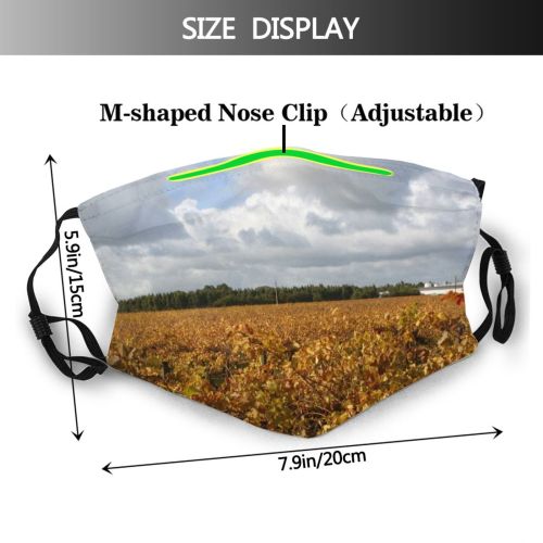 yanfind Cloud Australia Landscape Field Sky Crop Plant Cash Agriculture Vineyard Natural Autumn Dust Washable Reusable Filter and Reusable Mouth Warm Windproof Cotton Face