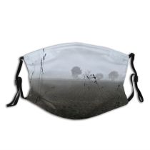 yanfind Fog Drizzle Mist Family Landscape Sky Trees Tree Field Morning Natural Haze Dust Washable Reusable Filter and Reusable Mouth Warm Windproof Cotton Face