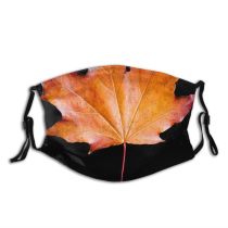 yanfind Maple Autumn Woody Leaves Maple Calm Fall Autumnal Plant Wood Leaf Forest Dust Washable Reusable Filter and Reusable Mouth Warm Windproof Cotton Face