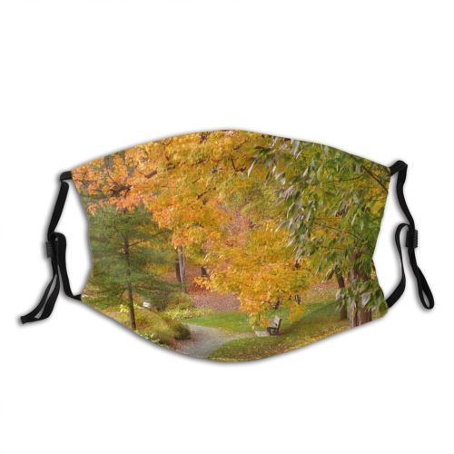 yanfind Temperate Path Natural Autumn Woody Colours Landscape Promenade Plant Broadleaf Forest Leaf Dust Washable Reusable Filter and Reusable Mouth Warm Windproof Cotton Face