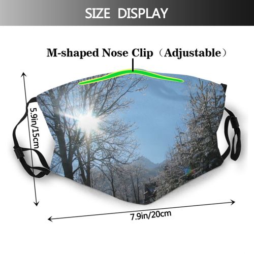 yanfind Winter Landscape Sky Tree Branch Tatra Frost Winter Light Freezing Natural Snow   Dust Washable Reusable Filter and Reusable Mouth Warm Windproof Cotton Face