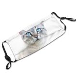 yanfind Isolated Fur Young Striped Cat Kitty Cute Beautiful Sweet Face Pretty Pet Dust Washable Reusable Filter and Reusable Mouth Warm Windproof Cotton Face