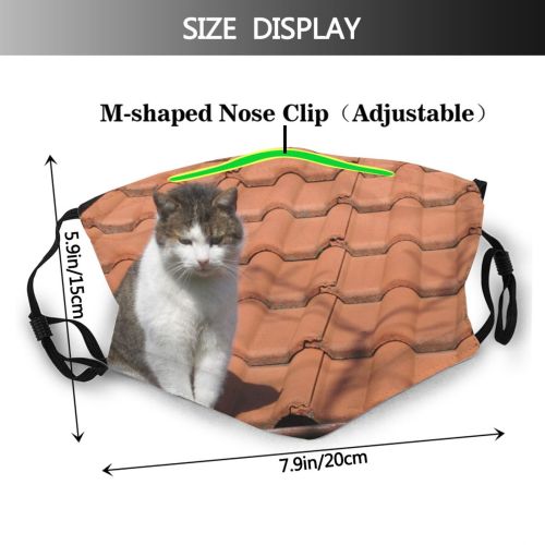 yanfind Felidae Sized Kocka Cat Killick Short Carnivore Whiskers Snout Prihoda Paw Medium Dust Washable Reusable Filter and Reusable Mouth Warm Windproof Cotton Face
