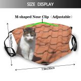 yanfind Felidae Sized Kocka Cat Killick Short Carnivore Whiskers Snout Prihoda Paw Medium Dust Washable Reusable Filter and Reusable Mouth Warm Windproof Cotton Face