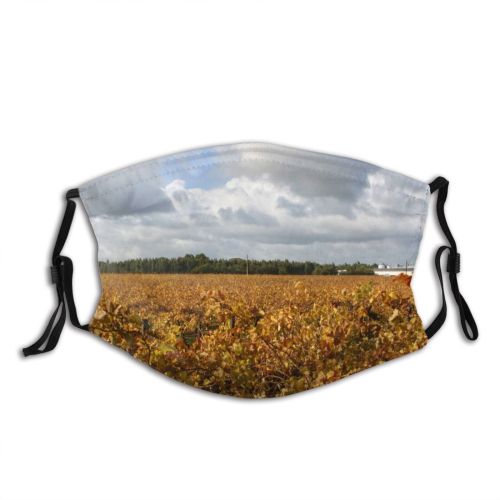 yanfind Cloud Australia Landscape Field Sky Crop Plant Cash Agriculture Vineyard Natural Autumn Dust Washable Reusable Filter and Reusable Mouth Warm Windproof Cotton Face