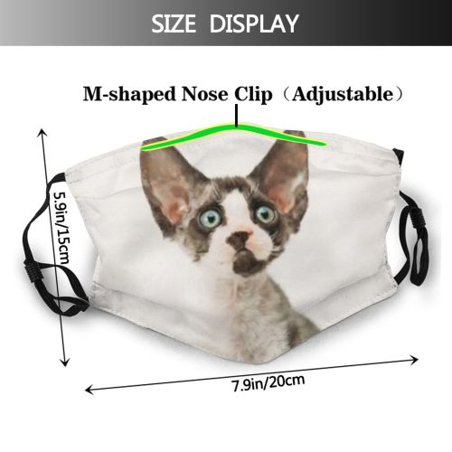 yanfind Devon Young Cat Kitty Cute Shorthair Grey Pedigree Curious Beautiful Pretty Pet Dust Washable Reusable Filter and Reusable Mouth Warm Windproof Cotton Face