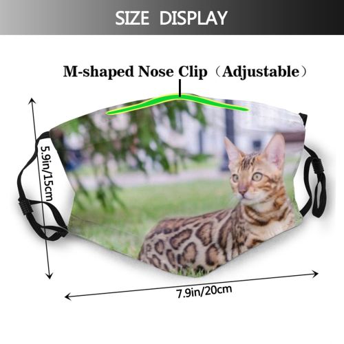 yanfind Isolated Garden Hunter Little Cat Attention Bengal Grass Beautiful Pretty Face Pet Dust Washable Reusable Filter and Reusable Mouth Warm Windproof Cotton Face