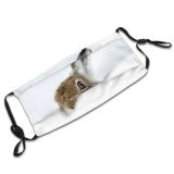 yanfind Peeking Snow Camera Hare Space Wildlife Tilt UK Mountain Cute Security Deep Dust Washable Reusable Filter and Reusable Mouth Warm Windproof Cotton Face