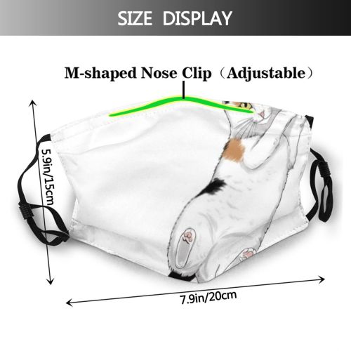yanfind Abstract Isolated Decor Foreshortening . Meow Cat Wool Cute Biology Wildlife Spotty Dust Washable Reusable Filter and Reusable Mouth Warm Windproof Cotton Face