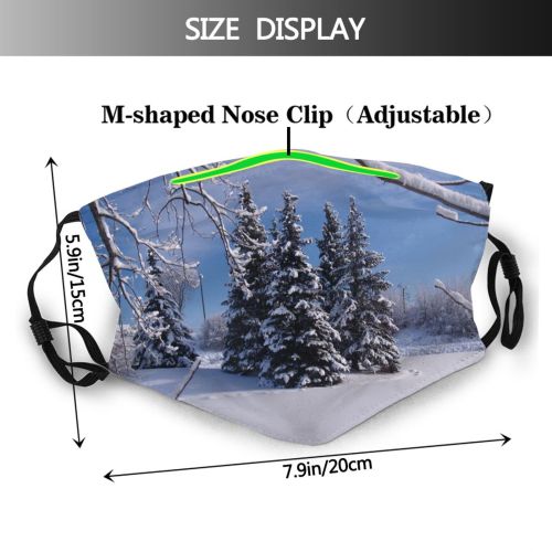 yanfind Winter Sky Winter Natural Woody Landscape Sky Plant Branch Snow Clouds Tree Dust Washable Reusable Filter and Reusable Mouth Warm Windproof Cotton Face