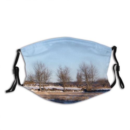 yanfind Rural Landscape Europe Sky Tree Plant Winter Natural Freezing Snow Ecoregion Area Dust Washable Reusable Filter and Reusable Mouth Warm Windproof Cotton Face