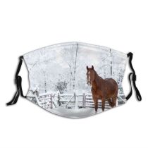 yanfind Fence Snow Canada Ontario Paddock Arabian Outdoors Horse Winter Dust Washable Reusable Filter and Reusable Mouth Warm Windproof Cotton Face