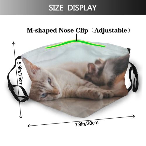 yanfind Isolated Fur Young Mother Life Cat Kitty Cute Newborn Searching Baby Puss Dust Washable Reusable Filter and Reusable Mouth Warm Windproof Cotton Face