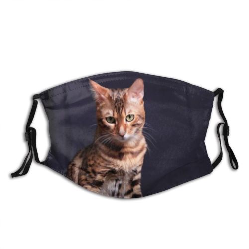 yanfind Fur Young Cat Kitty Cute Bengal Beautiful Pet Studio Tabby Portrait Dark Dust Washable Reusable Filter and Reusable Mouth Warm Windproof Cotton Face