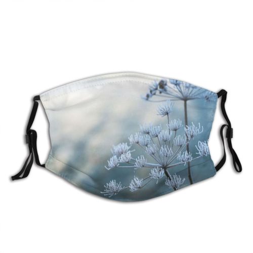 yanfind Ice Frost Dry Landscape Frozen Tree Freshness Snow Branch Wildflower Abstract Flower Dust Washable Reusable Filter and Reusable Mouth Warm Windproof Cotton Face