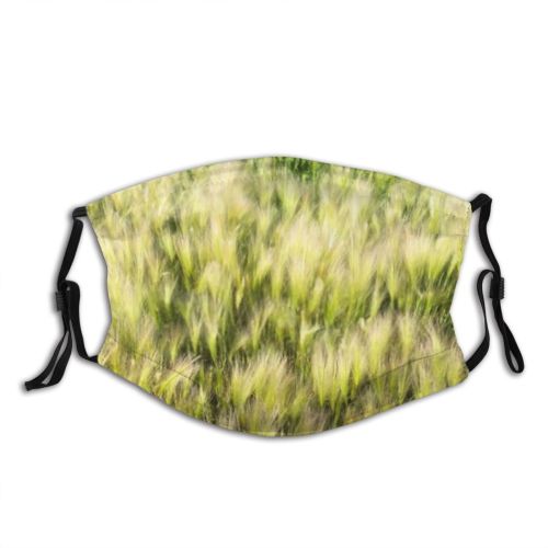 yanfind Cereal Wheat Beautiful Meadow Season Field Texture Farm Harvest Natural Summer Rural Dust Washable Reusable Filter and Reusable Mouth Warm Windproof Cotton Face