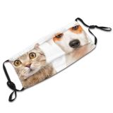 yanfind Isolated Fur Straight Little Cat Cute Parson Dog Pedigreed Puppy Cheerful Pedigree Dust Washable Reusable Filter and Reusable Mouth Warm Windproof Cotton Face