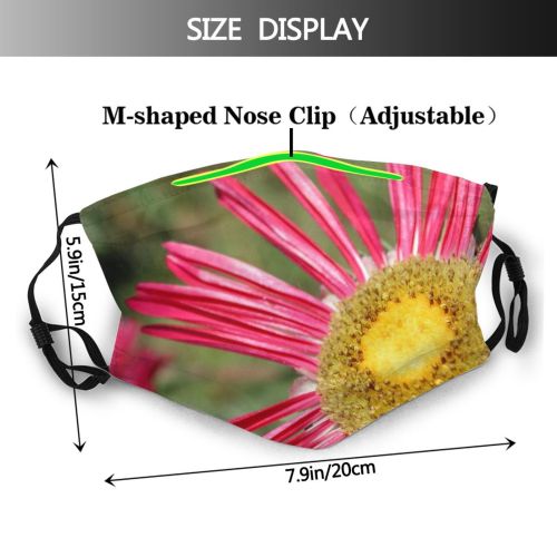yanfind Plant Aster Annual Leaves Flower China Grass Flower Wildflower Daisy Plant Dog Dust Washable Reusable Filter and Reusable Mouth Warm Windproof Cotton Face