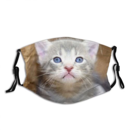 yanfind Fur Young Little Cat Kitty Cute Box Newborn Nose Spout Muzzle Package Dust Washable Reusable Filter and Reusable Mouth Warm Windproof Cotton Face