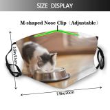 yanfind Happiness Little Cat Feeding Cute Kitty Licking Shorthair Grey Milk Window Eating Dust Washable Reusable Filter and Reusable Mouth Warm Windproof Cotton Face
