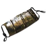 yanfind Sumac Natural Sun Autumn Growth Landscape Fall Light Wood Forest Hardwood Northern   Dust Washable Reusable Filter and Reusable Mouth Warm Windproof Cotton Face