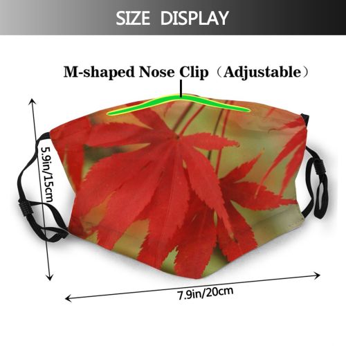 yanfind Flowering Leaves Leaf Maple Maple Trees Bench Colorful Leaf Tree Plant Plant Dust Washable Reusable Filter and Reusable Mouth Warm Windproof Cotton Face