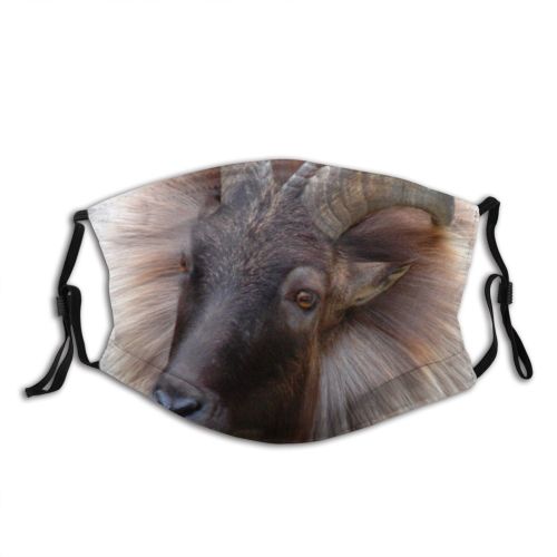 yanfind Goat Sheep Snout Goats Horn Mountain Vertebrate Horns Feral Barbary Mountain Wildlife Dust Washable Reusable Filter and Reusable Mouth Warm Windproof Cotton Face