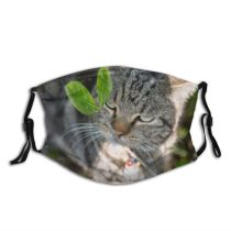 yanfind Pet Lovely Cats Cat Shorthair Americanshorthair Short Dust Washable Reusable Filter and Reusable Mouth Warm Windproof Cotton Face