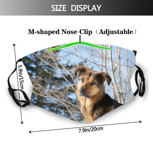 yanfind Winter Vertebrate Dog Carnivore Look Trees Canidae Plant Tree Pet Winter Puppy Dust Washable Reusable Filter and Reusable Mouth Warm Windproof Cotton Face
