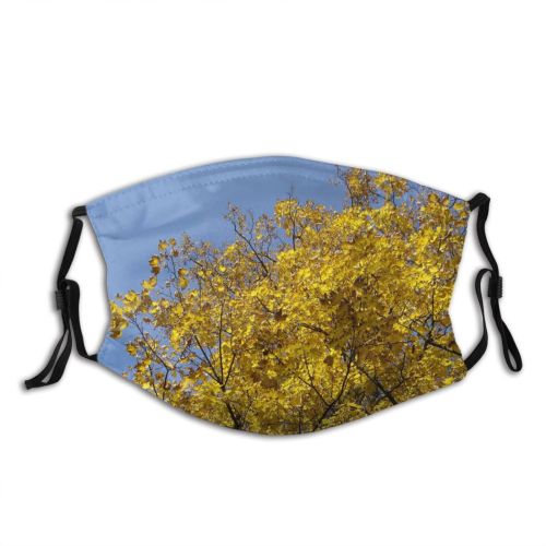 yanfind Leaf Sky Plant Fall Spring Leaf Tree Tree Branch Plant Autumn Autumn Dust Washable Reusable Filter and Reusable Mouth Warm Windproof Cotton Face