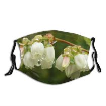 yanfind Plant Dewdrop Flower Dew Blossom Flower Plant Drop Vaccinium Spring Vaccinium Cyanococcus Dust Washable Reusable Filter and Reusable Mouth Warm Windproof Cotton Face