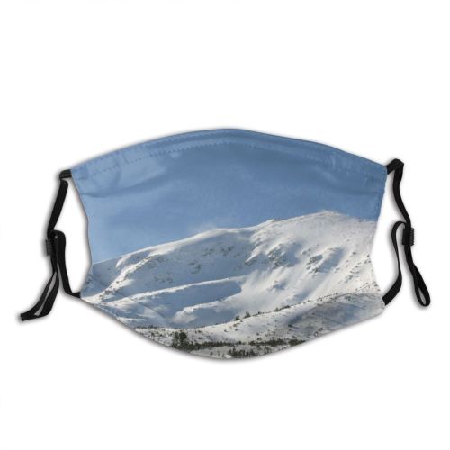 yanfind Winter Leaf Plant Flower Twig Stem Branch Frost Winter Freezing Snow Snow Dust Washable Reusable Filter and Reusable Mouth Warm Windproof Cotton Face