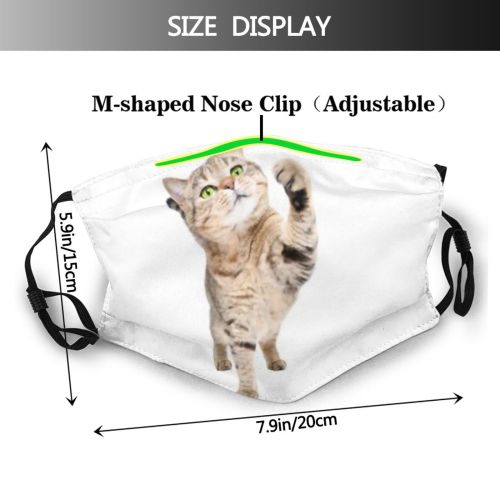 yanfind Attractive Isolated Fur Little Cat Kitty British Cute Straight Striped Frolicsome Pedigreed Dust Washable Reusable Filter and Reusable Mouth Warm Windproof Cotton Face