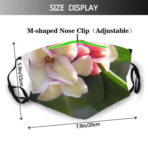yanfind Flowering Flower Macro Macro Leaf Plant Spring Plant Botany Bud Petal Flower Dust Washable Reusable Filter and Reusable Mouth Warm Windproof Cotton Face