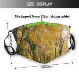 yanfind Dead Natural Sun Woody Leaves Landscape Sunlight Wood Forest Leaf Umbers Tree Dust Washable Reusable Filter and Reusable Mouth Warm Windproof Cotton Face
