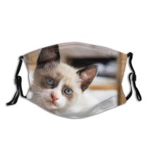 yanfind Fur Young Cat Kitty Cute Beautiful Pretty Face Pet Fluffy Eyes Furry Dust Washable Reusable Filter and Reusable Mouth Warm Windproof Cotton Face