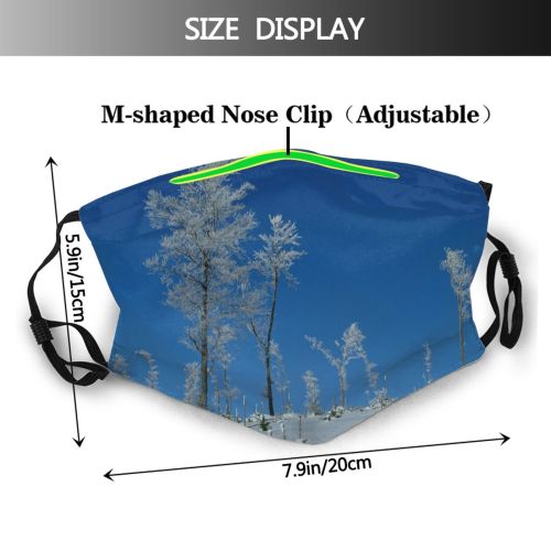 yanfind Winter Sky Trees Plant Tree Ice Larch Frost Winter Freezing Snow Snow Dust Washable Reusable Filter and Reusable Mouth Warm Windproof Cotton Face