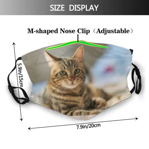 yanfind Isolated Bedroom Fur Young Bed Cat Kitty Cute Kittens Shorthair Grey Pillow   Dust Washable Reusable Filter and Reusable Mouth Warm Windproof Cotton Face