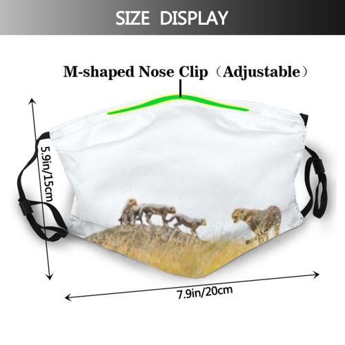 yanfind Cats Mara Predator Kenya Cubs Mound Maasai Cheetah Grass Wild Africa Dust Washable Reusable Filter and Reusable Mouth Warm Windproof Cotton Face