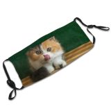yanfind Lick Fur Young Little Cat Cute Colorful Wood Beautiful Pretty Pet Eyes Dust Washable Reusable Filter and Reusable Mouth Warm Windproof Cotton Face