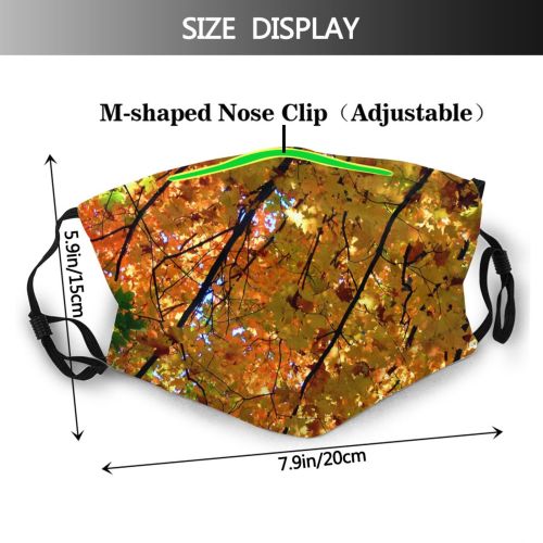 yanfind Temperate Spring Autumn Woody Leaves Plant Fall Broadleaf Branch Forest Leaf Twig Dust Washable Reusable Filter and Reusable Mouth Warm Windproof Cotton Face