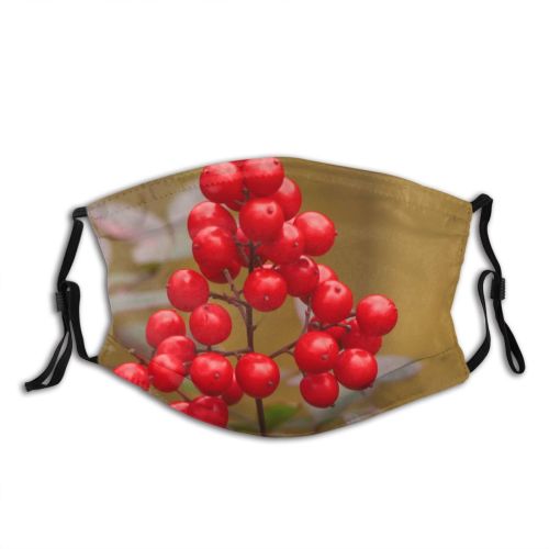 yanfind Winter Berry Peppercorn Seedless Berry Fruit Woody Poison Plant Flower Danger Flowering Dust Washable Reusable Filter and Reusable Mouth Warm Windproof Cotton Face