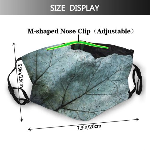 yanfind Winter Texture Perennial Religion Love Grow Stem Leaves Colorful Fall Plant Serenity Dust Washable Reusable Filter and Reusable Mouth Warm Windproof Cotton Face