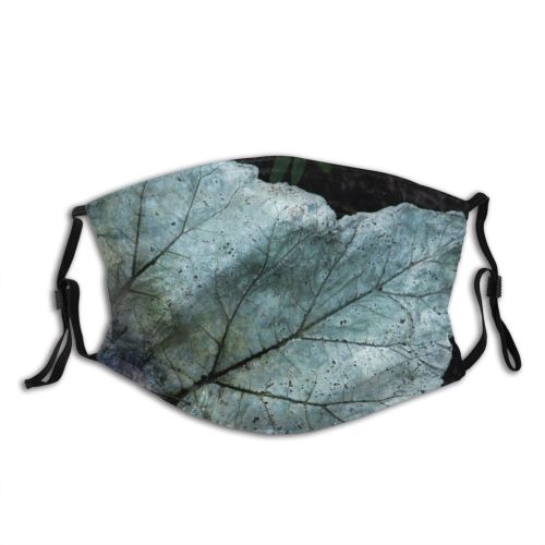 yanfind Winter Texture Perennial Religion Love Grow Stem Leaves Colorful Fall Plant Serenity Dust Washable Reusable Filter and Reusable Mouth Warm Windproof Cotton Face