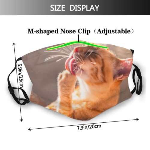yanfind Isolated Comfort Happiness Fur Young Cat Licking Cute Interior Wildlife Relax Beautiful Dust Washable Reusable Filter and Reusable Mouth Warm Windproof Cotton Face