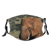 yanfind Idyllic Elephantidae Calm Skin Chordate Massive Lawn Tranquil Big Trunk Power Zoology Dust Washable Reusable Filter and Reusable Mouth Warm Windproof Cotton Face